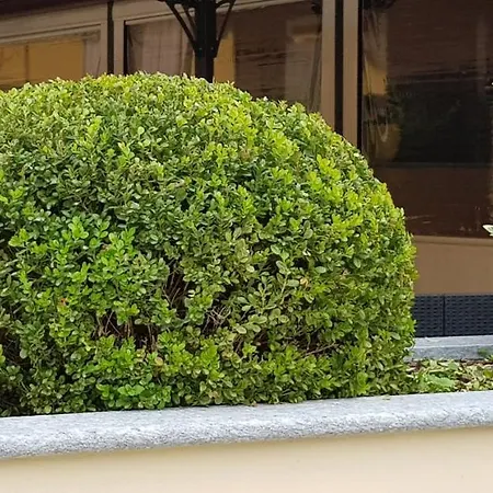 Hotel La Regibussa - Ristorante