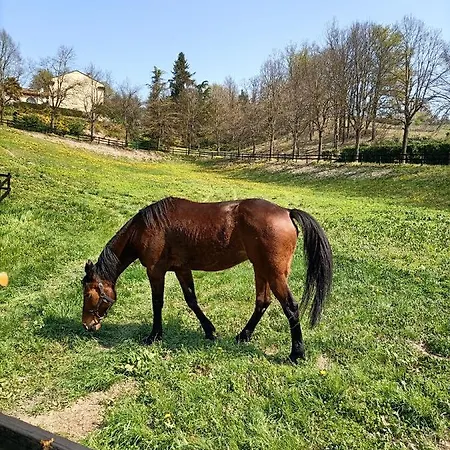 La Regibussa - Ristorante Hotel Asti