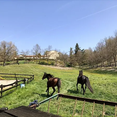 La Regibussa - Ristorante 4*